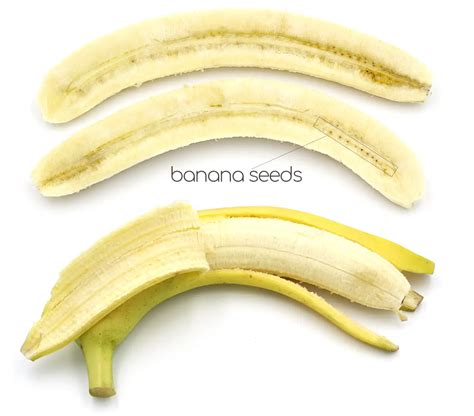 Do Bananas Have Seeds? How to Grow Banana Plants from Seed