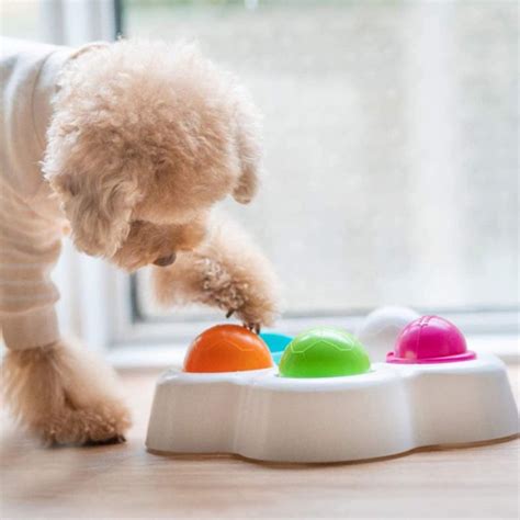 The 15 Best Dog Puzzle Toys | PS Pets