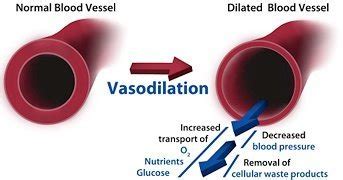 What is a Vasodilator? - Hair Transplant Mentor