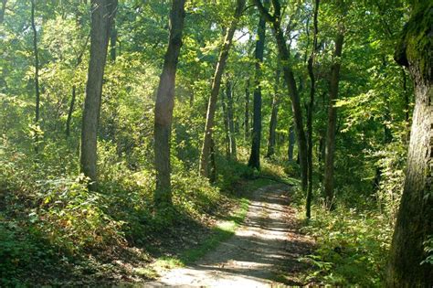 Hiking in Lebanon Hills Regional Park • Twin Cities Outdoors