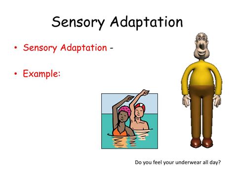 PPT - Sensation and Perception PowerPoint Presentation, free download ...