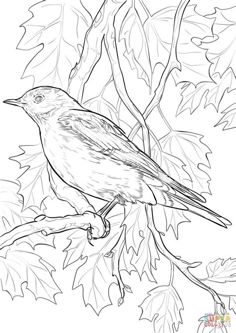 Mountain Bluebird coloring page | Free Printable Coloring Pages