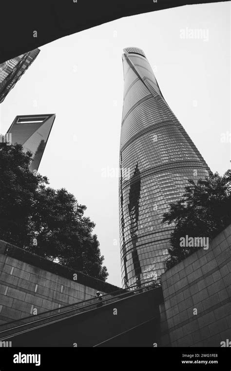 twisted skyscraper with leaves in Shanghai, China (Shanghai Tower Stock Photo - Alamy