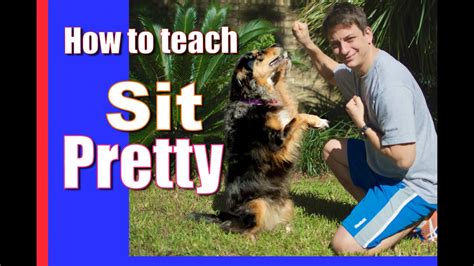 Dog Trick! How to Train Your Dog to Sit Pretty! - YouTube