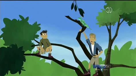 Wild Kratts Season 1 Episode 16 – Walk on the Wetside | Watch cartoons online, Watch anime ...