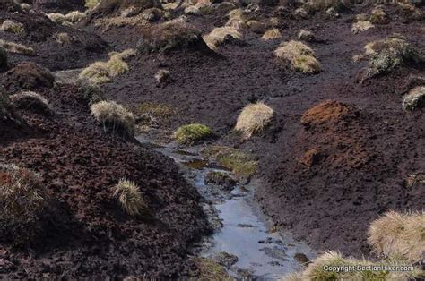 How to Hike Across Peat Bogs: Fear No Moor - SectionHiker.com