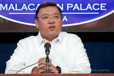 Roque claims being attacked by 'organized' trolls, asks for Senate probe | Inquirer News