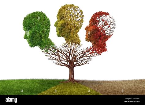 Brain atrophy in alzheimer's hi-res stock photography and images - Alamy