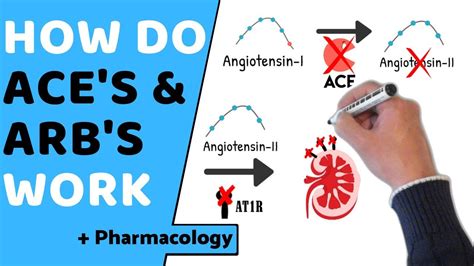 How do ACE & ARB's Work? (+ Pharmacology) - YouTube