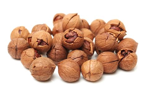 How to Crack Hickory Nuts (Plus Good Uses for Them) - My Backyard Life