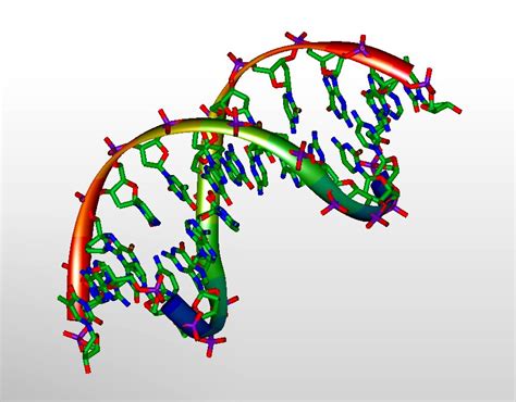 New gene-editing technique offers scientists ability to 'turn on ...