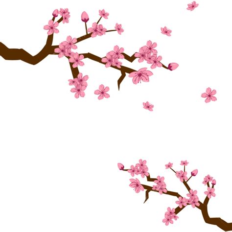 Cherry Blossoms Fall, Pink, Flower, Cherry Blossoms PNG Transparent Clipart Image and PSD File ...