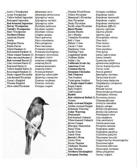 Arboretum Bird Check List - The Arboretum