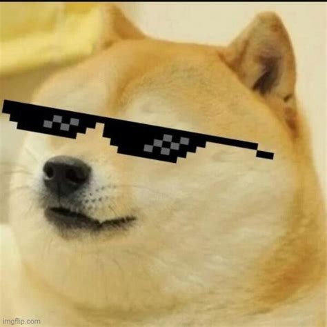 Sunglass Doge - Imgflip