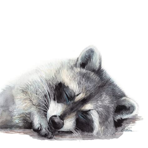 Raccoon Art Gift Sleeping Raccoon Art Print Watercolor - Etsy