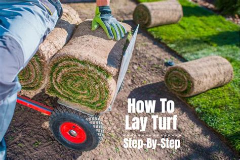 How To Lay Turf | How to lay turf, Turf, Landscaping supplies