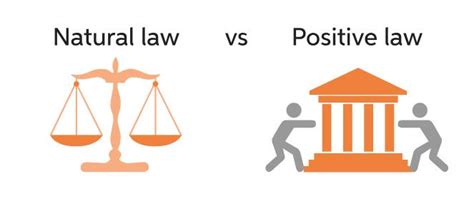 What is Natural Law? (Principles, Definition, Applications in Business)