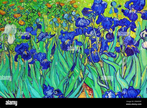 Irises, Vincent van Gogh painting Stock Photo - Alamy