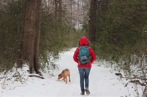 Snowmageddon Atlanta 2014 | Snowmageddon, Atlanta, Hiking