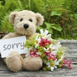 I Am Sorry Flowers Online | Apology Gifts Delivery - GiftmyEmotions