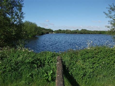 Vinnyman's Birding and Nature Blog.: Kingsbury Water Park.