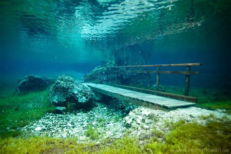 Underwater Park Austria - Unique Phenomena of The World | Green lake park, Underwater lake ...