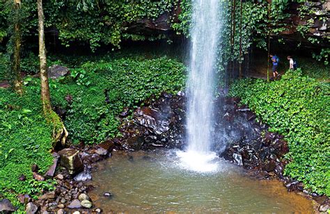 Crystal Shower Falls | NSW National Parks