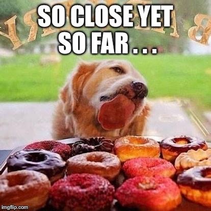 12 National Doughnut Day Memes To Share While You Munch On Some Sweet ...