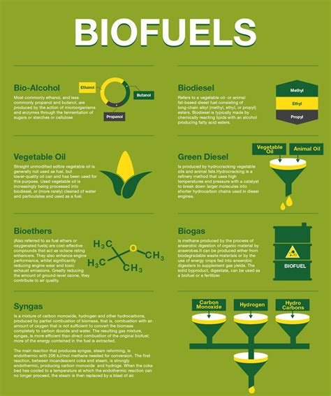 Bio Fuels | Visual.ly | Biomass energy, Renewable sources of energy, Solar energy facts