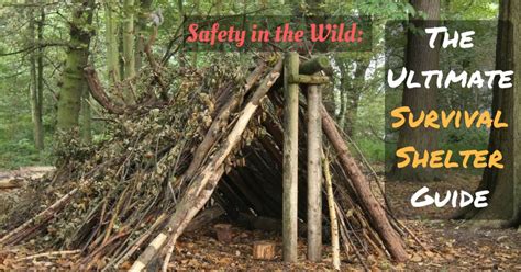 Safety in the Wild: The Ultimate Survival Shelter Guide - Prepper Universe