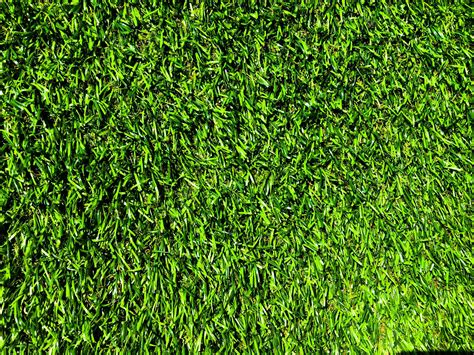 Beautiful green grass pattern from golf course for background. Copy ...