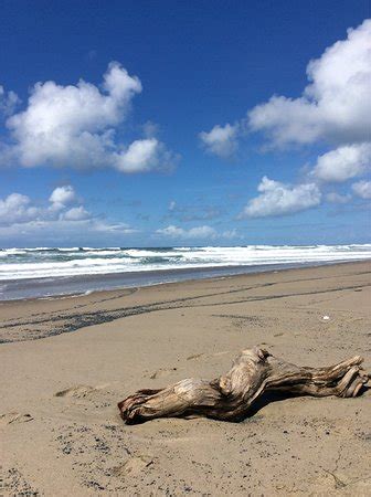 Gleneden Beach State Park - All You Need to Know BEFORE You Go - Updated 2019 (OR) - TripAdvisor