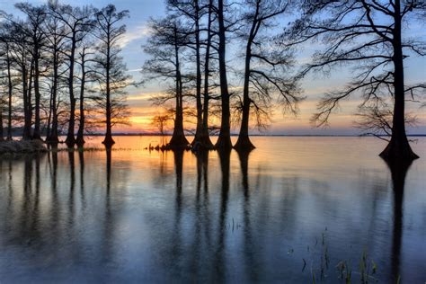 Fishing in Tennessee | State parks, Lake, Tennessee vacation