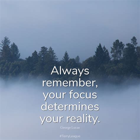 the quote always remembers, your focus determines your reality on a foggy day with trees in the ...