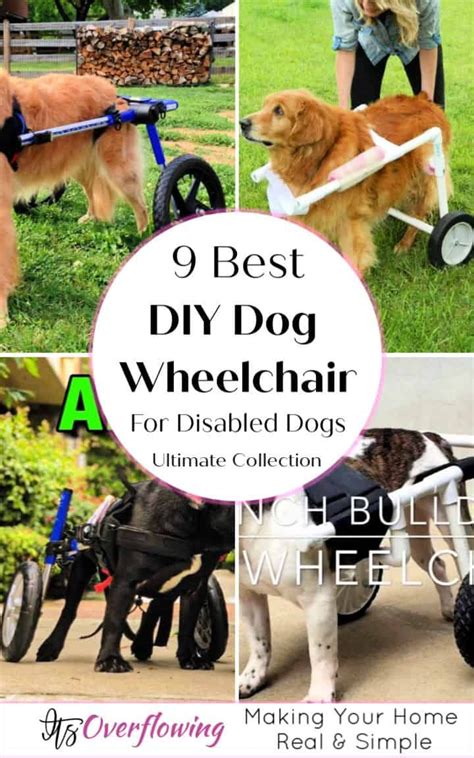 9 Best DIY Dog Wheelchair Plans For Disabled Dogs Rescue Dogs, Pet Dogs ...