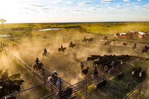 A Trio of Historic Texas Ranches Are Selling For a Staggering $341.7 Million | Architectural Digest