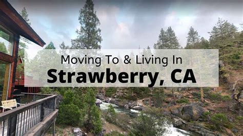 Will You Like Living in Strawberry CA? | [2024] ULTIMATE Moving to ? Strawberry Guide