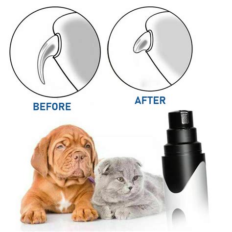 Safety First Electric Dog Nail Grinder & Trimmer – Dog Chews