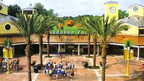 Audubon Zoo | TCLF