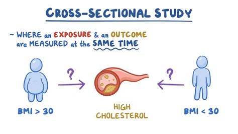 Cross sectional study: Video, Anatomy & Definition | Osmosis