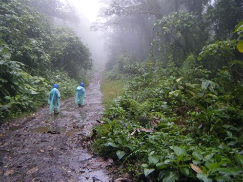 The Santa Elena Cloud Forest Reserve (Reserva Bosque Nuboso Santa Elena) | Roadschool Warriors ...