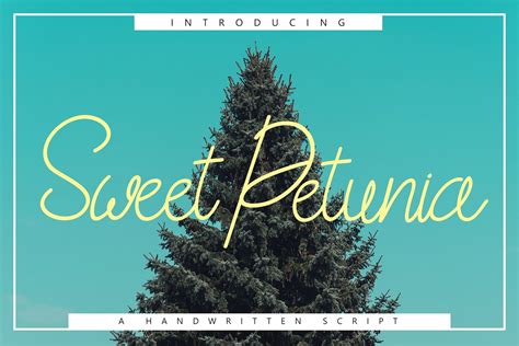 Sweet Petunia Handwritten Script - Download fonts