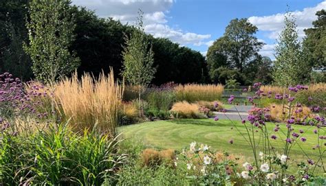 Prairie style planting in Hertfordshire garden design - Amanda Broughton Garden Design