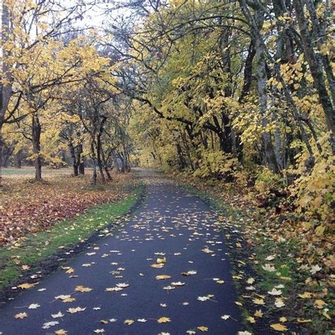 One of our walking/hiking/running paths in Corvallis, Oregon. Best Places To Live, Favorite ...