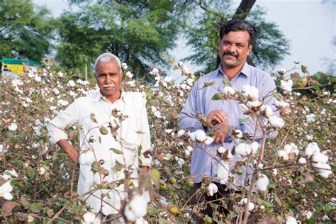 Agriculture Farming in India: Industry Future, and Types