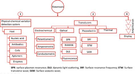 Classification of biosensor parts and working principles | Download Scientific Diagram