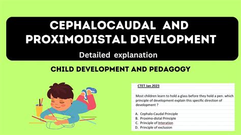 Direction of Development | Cephalocaudal and Proximodistal | Child development and Pedagogy ...