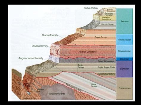 Biostratigraphy