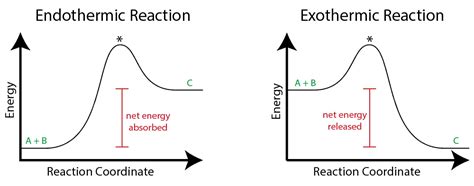 Endothermic vs Exothermic Reactions | ChemTalk