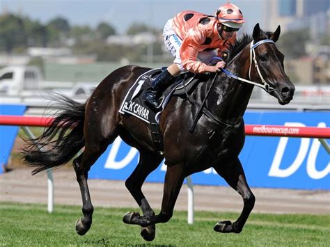 Black Caviar owners hit back at critics, saying she loves having foals | Herald Sun